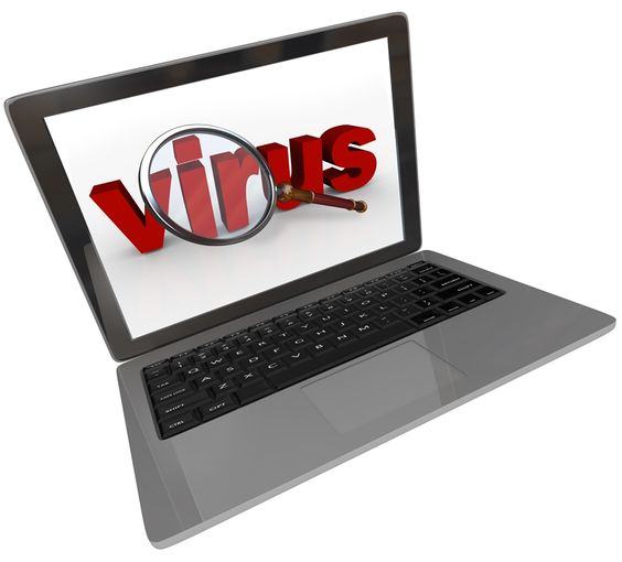 essay on computer virus- a deadly infection essay on computer virus- a deadly infection